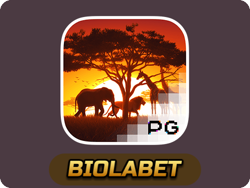 Safari Wilds